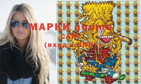 крисы Козельск