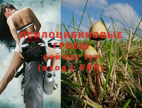 меф Абаза